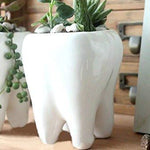 Lawn & Patio - LightningStore Ceramic White Tooth Teeth Succulent Plants Pot Microlandschaft Personalized Office House Balcony Landscape Pot Creative Decorative Flower Pots