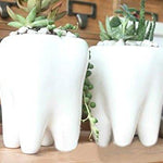 Lawn & Patio - LightningStore Ceramic White Tooth Teeth Succulent Plants Pot Microlandschaft Personalized Office House Balcony Landscape Pot Creative Decorative Flower Pots