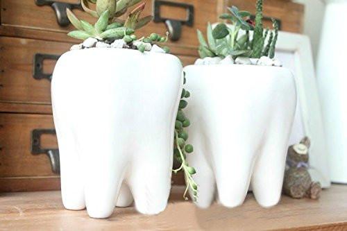 Lawn & Patio - LightningStore Ceramic White Tooth Teeth Succulent Plants Pot Microlandschaft Personalized Office House Balcony Landscape Pot Creative Decorative Flower Pots