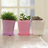 Lawn & Patio - LightningStore Colorful Pink Green Purple White Black Yellow Flower Pot With Chassis Succulent Plants Pot Microlandschaft Personalized Office House Balcony Landscape Pot Creative Decorative Flower