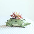 Lawn & Patio - LightningStore Cute Blue Elephant Whale Green Dinosaur Unicorn Alligator Crocodile White Duck Succulent Plants Pot Personalized Office House Balcony Landscape Creative Decorative Flower