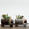 Lawn & Patio - LightningStore Cute Brown Gray Grey Log Succulent Plants Pot Microlandschaft Personalized Office House Balcony Landscape Pot Creative Decorative Flower Pots