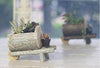 Lawn & Patio - LightningStore Cute Brown Gray Grey Log Succulent Plants Pot Microlandschaft Personalized Office House Balcony Landscape Pot Creative Decorative Flower Pots