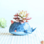 Lawn & Patio - LightningStore Cute Green Alligator Crocodile Dinosaur Unicorn Blue Elephant Whale White Duck Succulent Plants Personalized Office House Balcony Landscape Creative Decorative Flower Pots
