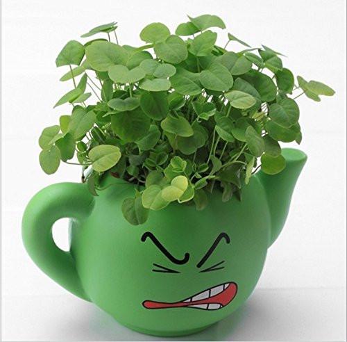 cute face plant pots LightningStore Cute Green Pink Blue Yellow Happy Angry Face Flower Pla