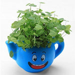Lawn & Patio - LightningStore Cute Green Pink Blue Yellow Happy Angry Face Flower Plant Tea Pot Succulent Box Planter Flower Pot Eco Bottle Miniature Miero Landscape Vivaria Plants Pot