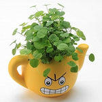 Lawn & Patio - LightningStore Cute Green Pink Blue Yellow Happy Angry Face Flower Plant Tea Pot Succulent Box Planter Flower Pot Eco Bottle Miniature Miero Landscape Vivaria Plants Pot
