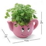 Lawn & Patio - LightningStore Cute Green Pink Blue Yellow Happy Angry Face Flower Plant Tea Pot Succulent Box Planter Flower Pot Eco Bottle Miniature Miero Landscape Vivaria Plants Pot