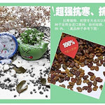 Lawn & Patio - LightningStore Cute Green Pink Blue Yellow Happy Angry Face Flower Plant Tea Pot Succulent Box Planter Flower Pot Eco Bottle Miniature Miero Landscape Vivaria Plants Pot