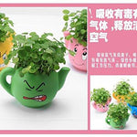 Lawn & Patio - LightningStore Cute Green Pink Blue Yellow Happy Angry Face Flower Plant Tea Pot Succulent Box Planter Flower Pot Eco Bottle Miniature Miero Landscape Vivaria Plants Pot
