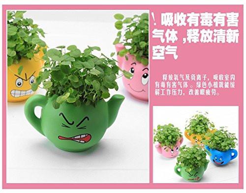Lawn & Patio - LightningStore Cute Green Pink Blue Yellow Happy Angry Face Flower Plant Tea Pot Succulent Box Planter Flower Pot Eco Bottle Miniature Miero Landscape Vivaria Plants Pot