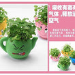 Lawn & Patio - LightningStore Cute Pink Blue Yellow Green Happy Angry Face Flower Plant Tea Pot Succulent Box Planter Flower Pot Eco Bottle Miniature Miero Landscape Vivaria Plants Pot