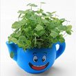 Lawn & Patio - LightningStore Cute Yellow Blue Pink Green Happy Angry Face Flower Plant Tea Pot Succulent Box Planter Flower Pot Eco Bottle Miniature Miero Landscape Vivaria Plants Pot