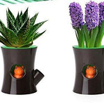 Lawn & Patio - LightningStore Log Squirrel Easy Watering Succulent Plants Pot Microlandschaft Personalized Office House Balcony Landscape Pot Creative Decorative Flower Pots