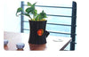 Lawn & Patio - LightningStore Log Squirrel Easy Watering Succulent Plants Pot Microlandschaft Personalized Office House Balcony Landscape Pot Creative Decorative Flower Pots