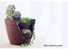 Lawn & Patio - LightningStore Succulent Plants Pot Microlandschaft Personalized Office House Balcony Landscape Pot Creative Decorative Flower Pots + Mini Figures Bundle