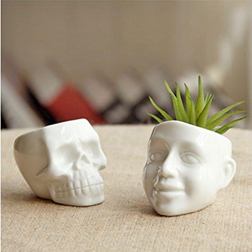 skull succulent LightningStore White Ceramic Cool Skull Succulent Plants Pot Microland