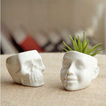 Lawn & Patio - LightningStore White Ceramic Cool Skull Succulent Plants Pot Microlandschaft Personalized Office House Balcony Landscape Pot Creative Decorative Flower Pots