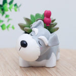 Limited Edition Schnauzer Flower Pot