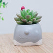 Limited Edition Schnauzer Flower Pot