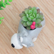 Limited Edition Schnauzer Flower Pot