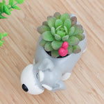 Limited Edition Schnauzer Flower Pot