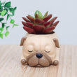 Limited Edition Sleeping Pug Flower Pot