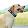 Personalized Dog Collar - Custom Dog Collar with Name - Custom Embroidered Dog Collars - Monogrammed Custom Made