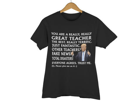 Great Teacher T-Shirt - Funny Shirt for College/University