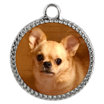 Chihuahua Necklace