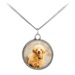 Colar Personalizado com Foto de Poodle - Crie o Seu Próprio Colar Personalizado