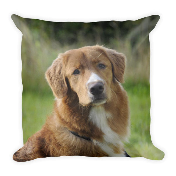 Nova Scotia Duck Tolling Retriever Pillow