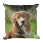 Nova Scotia Duck Tolling Retriever Pillow