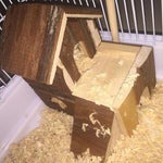 Pet Products - Cute Adorable Brown Church Hamster Rat Guinea Pig Home - Excellent For Putting Inside The Cage - Decorate And Personalize Your Pet's House With This Lovely Accessory - A Must Have For All Pet Lovers