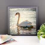 Swan Framed Photo Poster Wall Art Decoration Decor For Bedroom Living Room