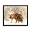 Tiger And Baby Cub In Snow Framed Photo Poster Wall Art Decoration Decor For Bedroom Living Room