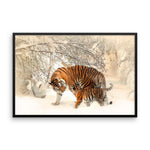 Tiger And Baby Cub In Snow Framed Photo Poster Wall Art Decoration Decor For Bedroom Living Room
