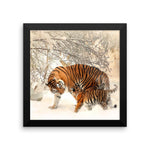 Tiger And Baby Cub In Snow Framed Photo Poster Wall Art Decoration Decor For Bedroom Living Room