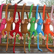 Toy - LightningStore 65cm Long Arm Monkey From Arm To Tail Plush Toys Colorful Monkey Curtains Monkey Stuffed Animal Doll + Toy Organizer Bag Bundle