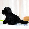 Toy - LightningStore Adorable Cute Baby Black Panther Cat Kitten Doll Realistic Looking Stuffed Animal Plush Toys Plushie Children's Gifts Animals