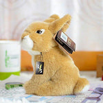 Toy - LightningStore Adorable Cute Baby Brown And White Rabbit Doll Realistic Looking Stuffed Animal Plush Toys Plushie Children's Gifts Animals