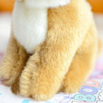 Toy - LightningStore Adorable Cute Baby Brown And White Rabbit Doll Realistic Looking Stuffed Animal Plush Toys Plushie Children's Gifts Animals