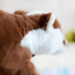 Toy - LightningStore Adorable Cute Baby Brown Badger Doll Realistic Looking Stuffed Animal Plush Toys Plushie Children's Gifts Animals