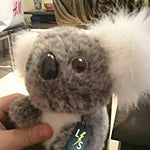 Toy - LightningStore Adorable Cute Baby Koala Doll Realistic Looking Stuffed Animal Plush Toys Plushie Children's Gifts Animals + Toy Organizer Bag Bundle