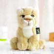Toy - LightningStore Adorable Cute Baby Lion Cub Puma Stuffed Animal Doll Realistic Looking Plush Toys Plushie Children's Gifts Animals + Toy Organizer Bag Bundle