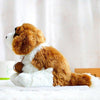 Toy - LightningStore Adorable Cute Baby Saint Bernard Doctor Nurse Cross Puppy Doll Realistic Looking Stuffed Animal Plush Toys Plushie Children's Gifts Animals