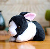 Toy - LightningStore Adorable Cute Black And White Oreo Cookie And Cream Rabbit Rabit Bunny Doll Realistic Looking Stuffed Animal Plush Toys Plushie Children's Gifts Animals + Toy Organizer Bag Bundle