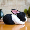 Toy - LightningStore Adorable Cute Black And White Oreo Cookie And Cream Rabbit Rabit Bunny Doll Realistic Looking Stuffed Animal Plush Toys Plushie Children's Gifts Animals + Toy Organizer Bag Bundle