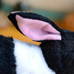 Toy - LightningStore Adorable Cute Black And White Oreo Cookie And Cream Rabbit Rabit Bunny Doll Realistic Looking Stuffed Animal Plush Toys Plushie Children's Gifts Animals + Toy Organizer Bag Bundle