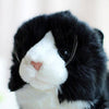 Toy - LightningStore Adorable Cute Black Baby Cat Kitten Doll Realistic Looking Stuffed Animal Plush Toys Plushie Children's Gifts Animals
